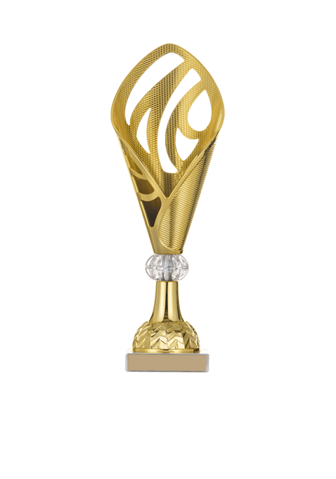 https://rugbyperugia1969.it/wp-content/uploads/2022/11/trophy_03.png