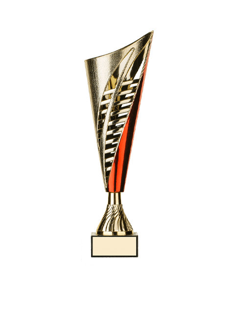 https://rugbyperugia1969.it/wp-content/uploads/2022/11/trophy_05.png