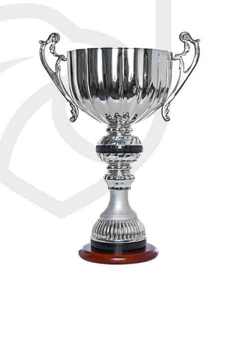 https://rugbyperugia1969.it/wp-content/uploads/2022/11/trophy_overlay_01.jpg