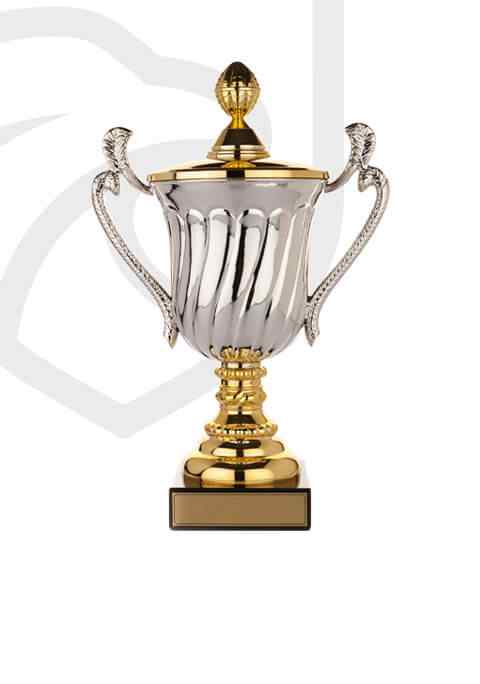https://rugbyperugia1969.it/wp-content/uploads/2022/11/trophy_overlay_02.jpg